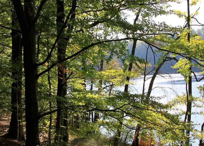 Widokowka Kaszuby 度假居