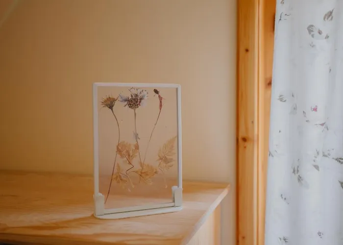 Widokowka Kaszuby Mirachowo