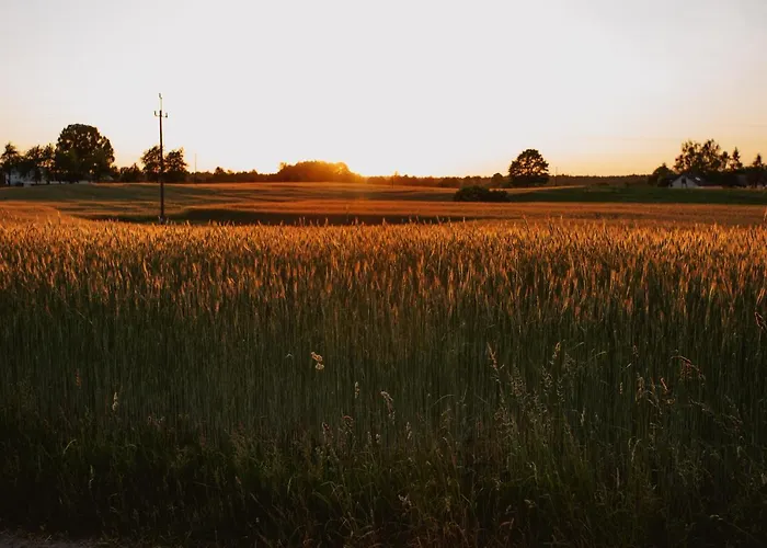 Widokowka Kaszuby 度假居
